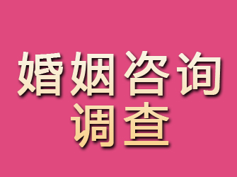 淅川婚姻咨询调查