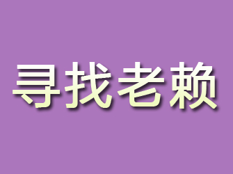 淅川寻找老赖