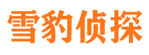 淅川市调查公司